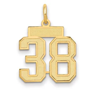 14K Gold Small Satin Number 38 Charm with Brushed Finish