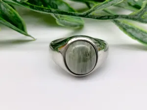Actinolite Classic Titanium Ring
