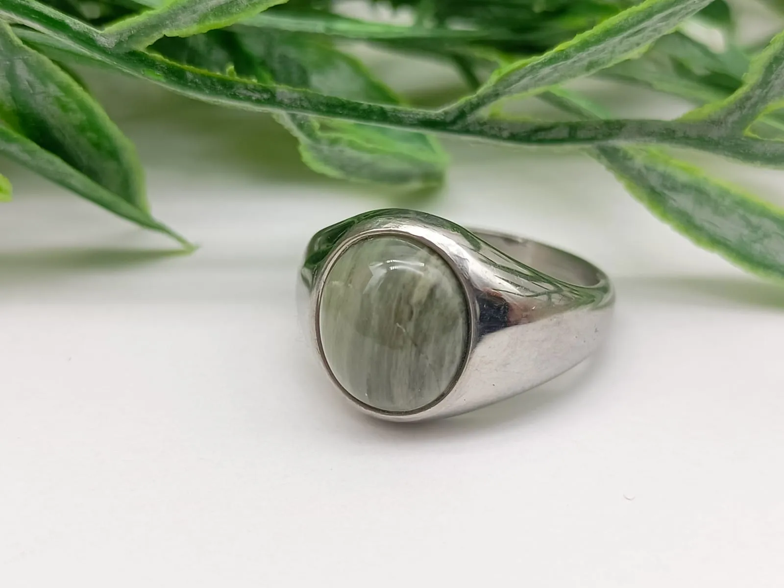 Actinolite Classic Titanium Ring
