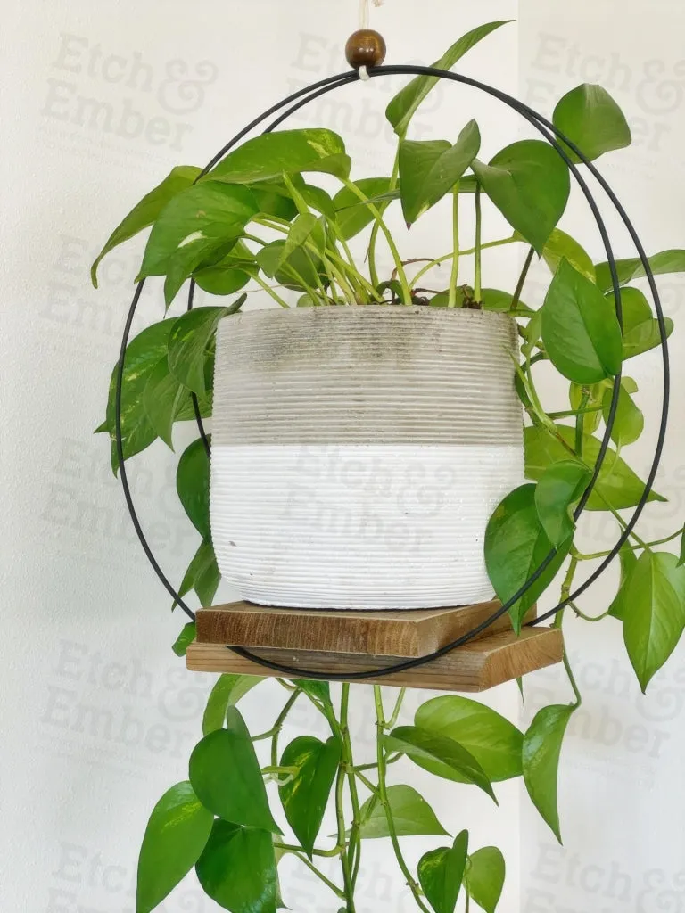 Modern Plant Hanger