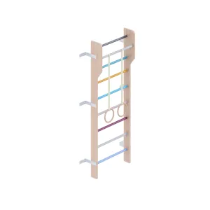 Multicolor Modern Scandinavian Ladder Gym