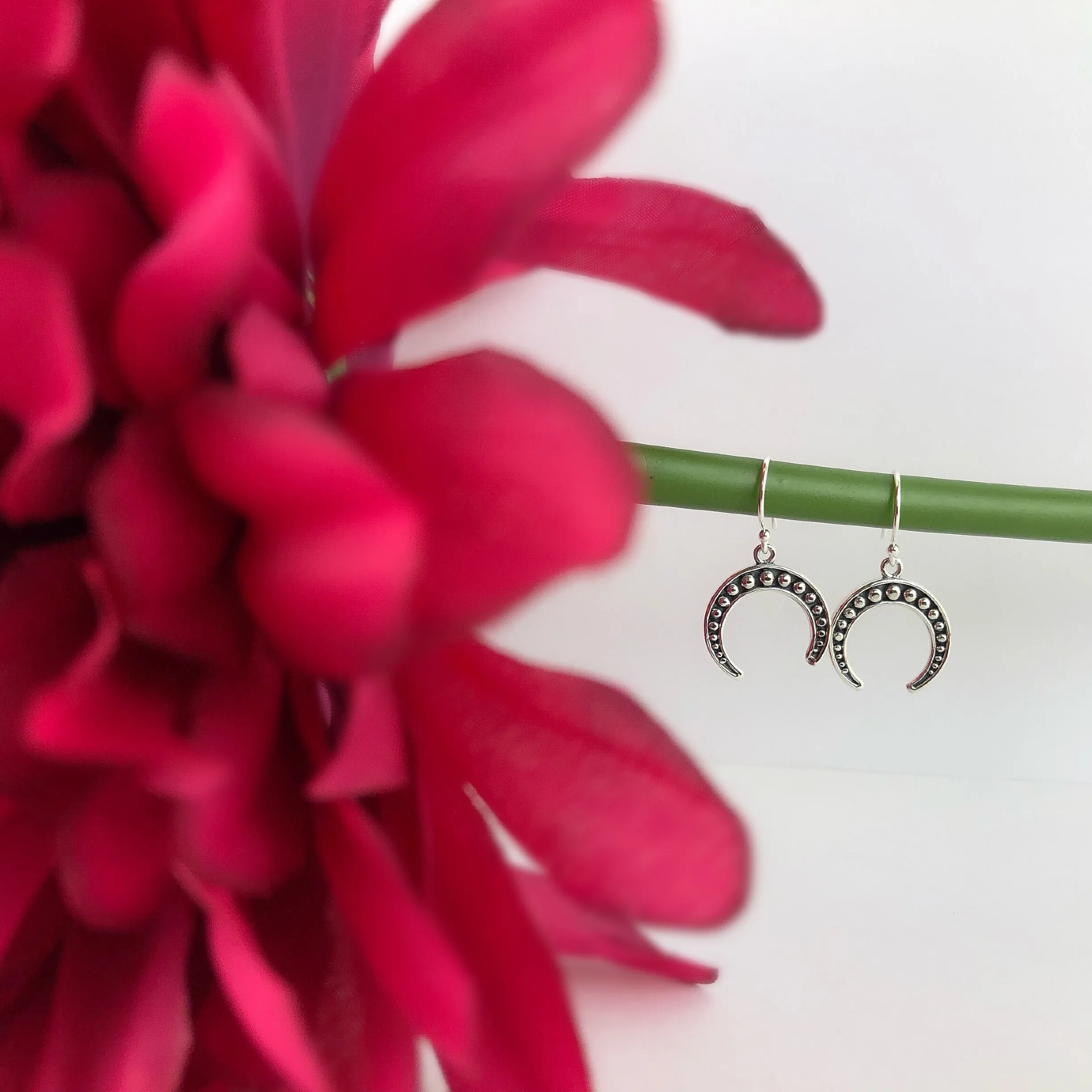 Mystic Moon Earrings - VE4777