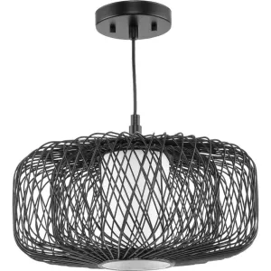 P500396-202 1-L Pendant