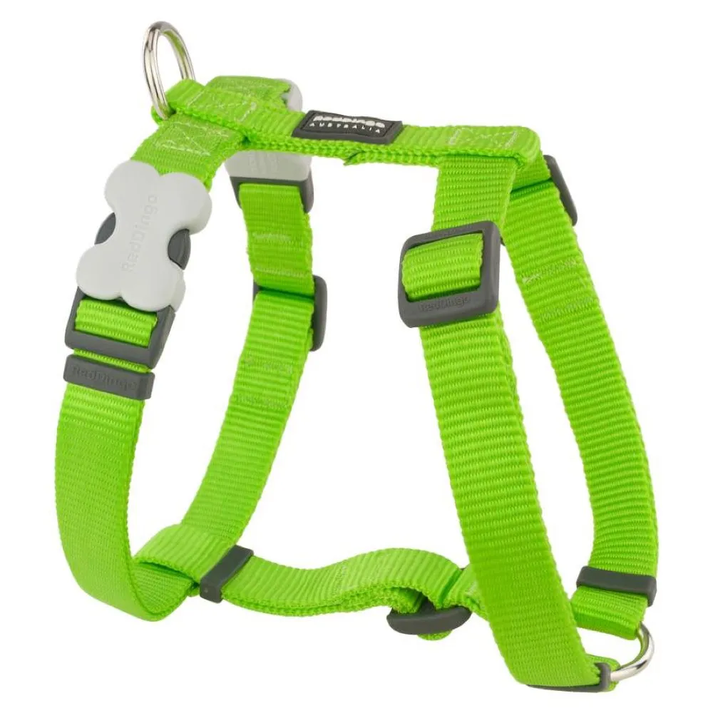 Red Dingo Classic Dog Harness 15mm
