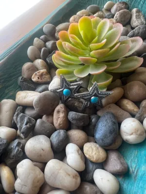 Steely Star & Turquoise Earrings